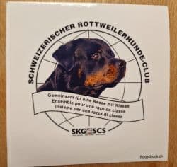 Bild Autoaufkleber