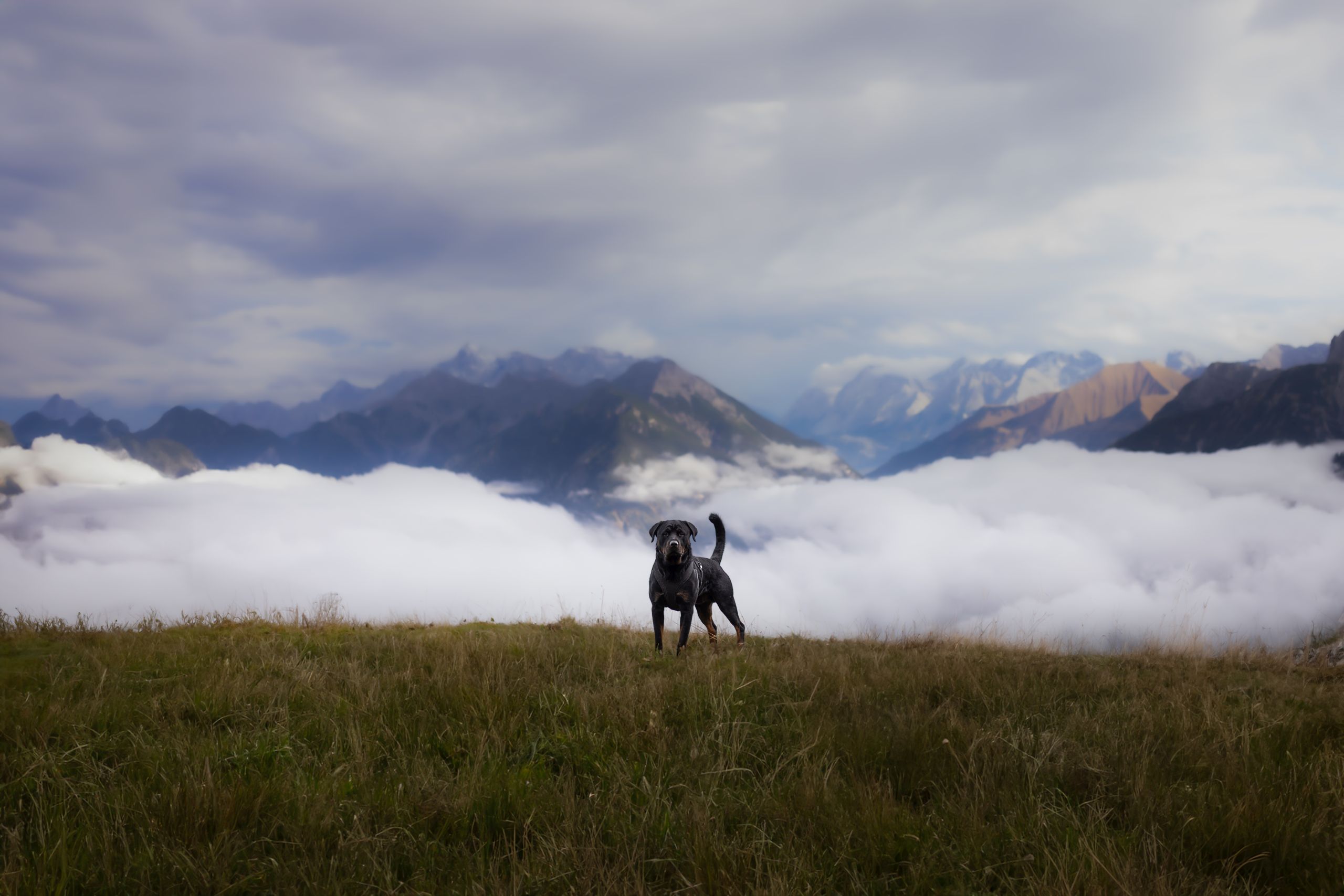 Hintergrundbild